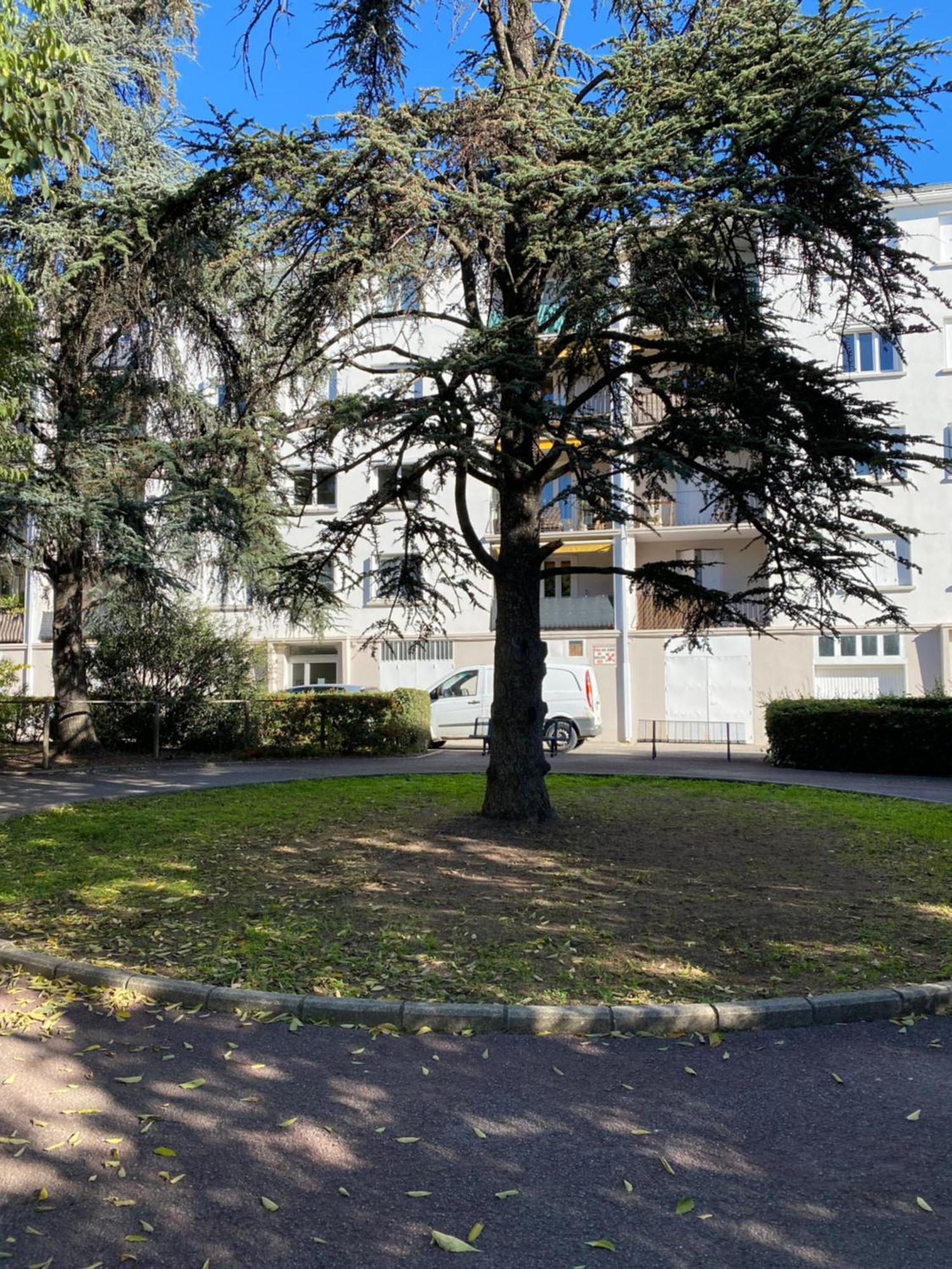 Appartement Rosaluz モンペリエ エクステリア 写真
